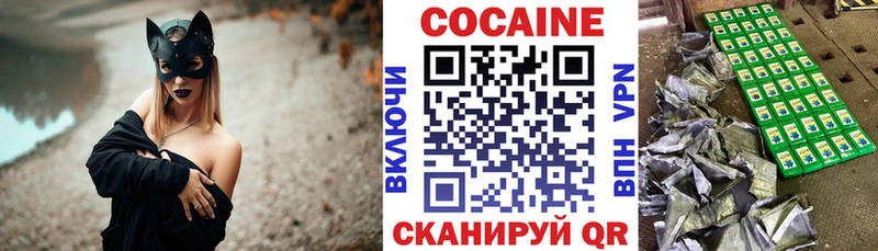 Купить закладки  Сокол  COCAIN Колумбийский 